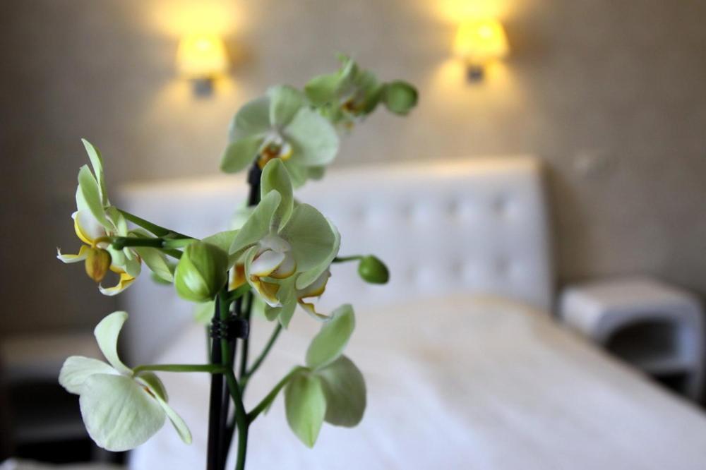 Hotel Felicia Рига Екстер'єр фото
